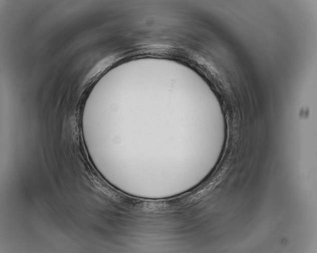 X0000096631354200803041055