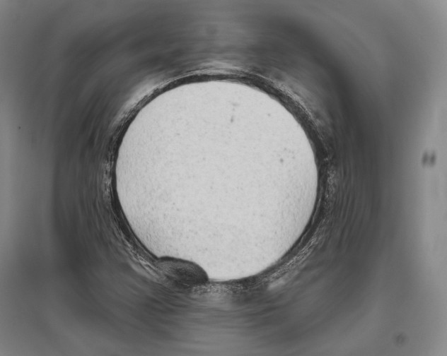 X0000096631355200803041055