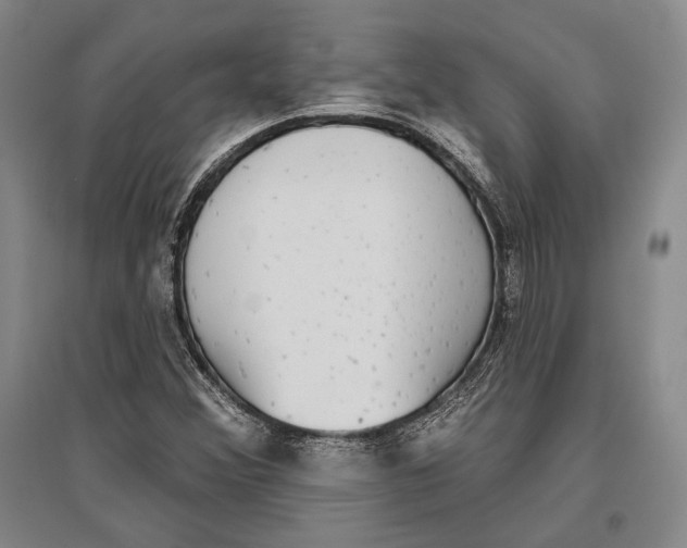 X0000096631356200803041055