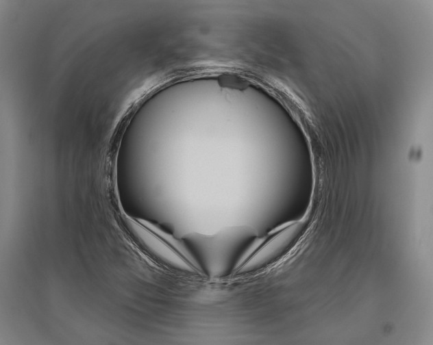 X0000096631357200803041055