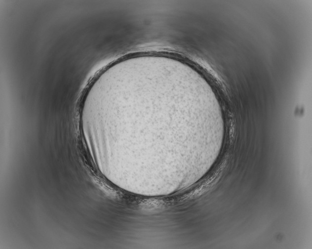 X0000096631358200803041055