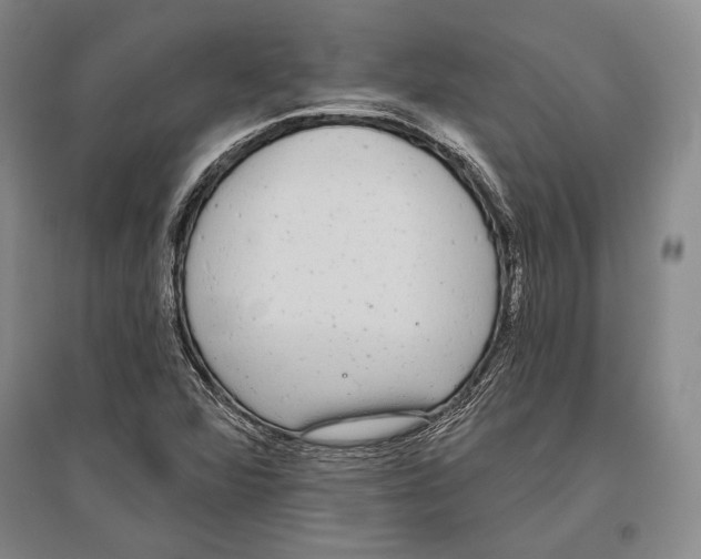 X0000096631360200803041055