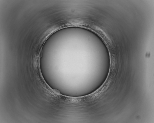 X0000096631361200803041055