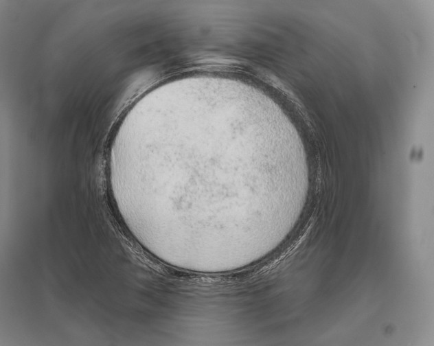 X0000096631362200803041055