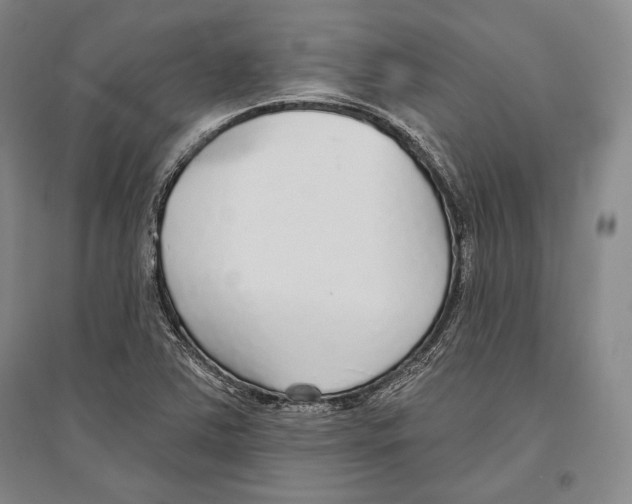 X0000096631363200803041055