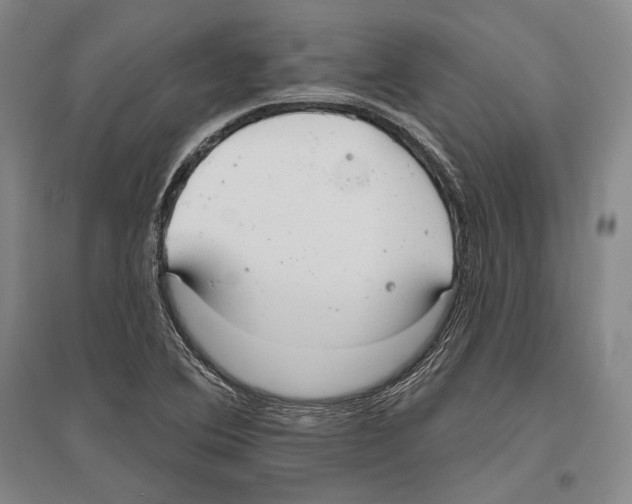 X0000096631364200803041055