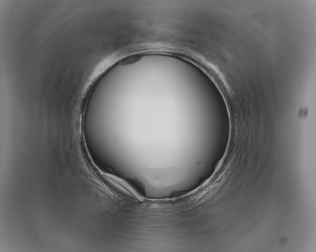 X0000096631365200803041055