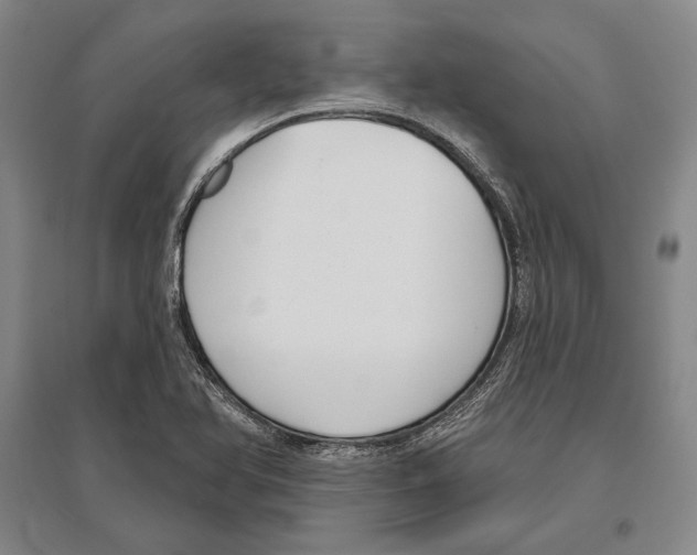 X0000096631366200803041055
