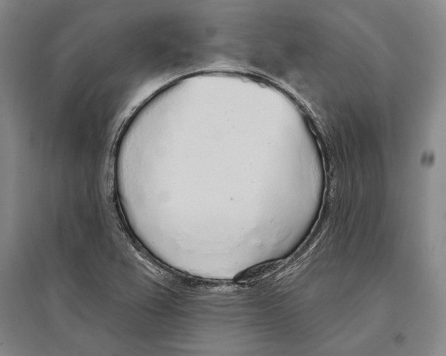 X0000096631367200803041055