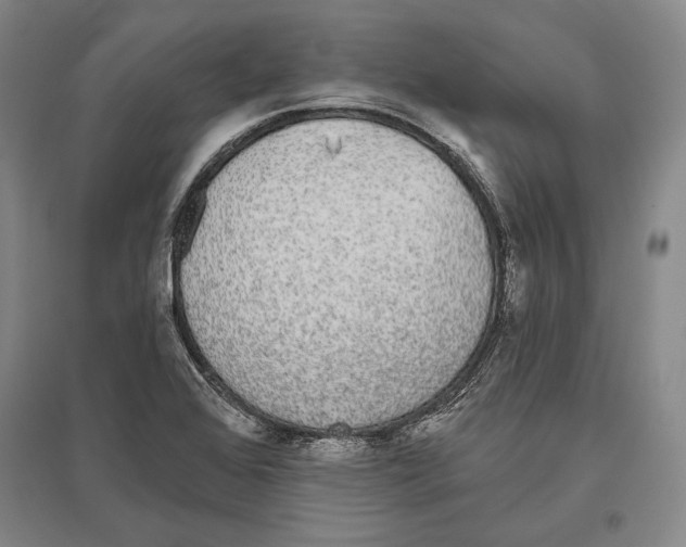 X0000096631368200803041055