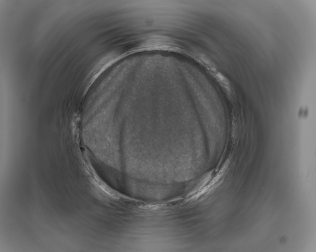 X0000096631369200803041055