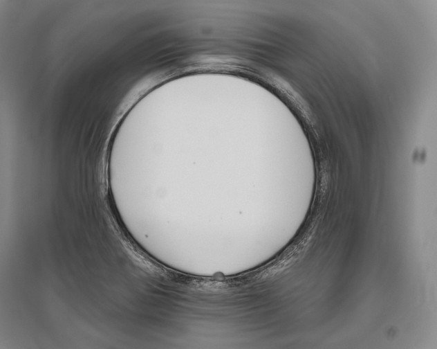 X0000096631370200803041055