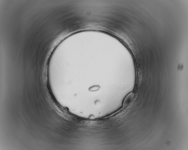 X0000096631371200803041055