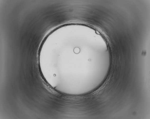 X0000096631372200803041055