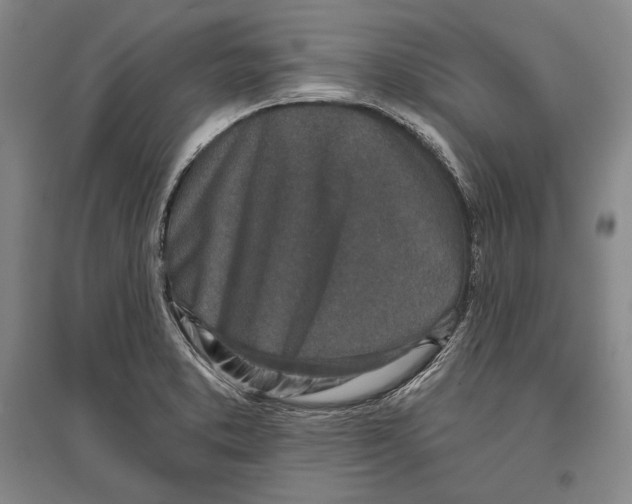 X0000096631373200803041055