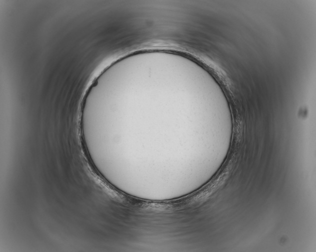 X0000096631374200803041055