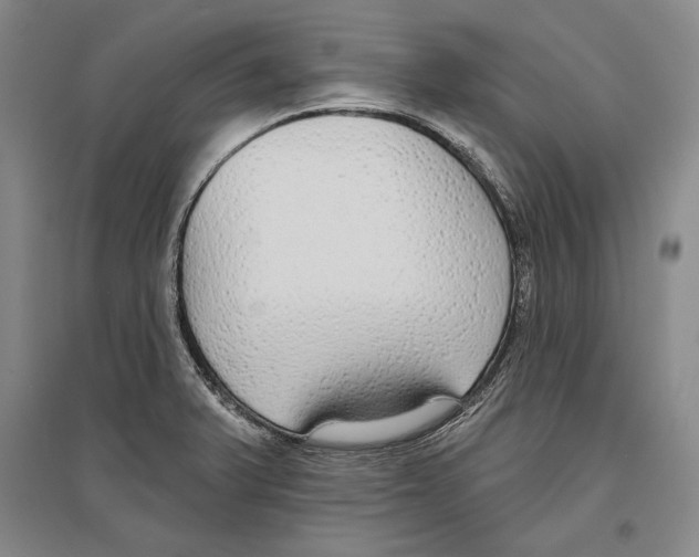 X0000096631375200803041055
