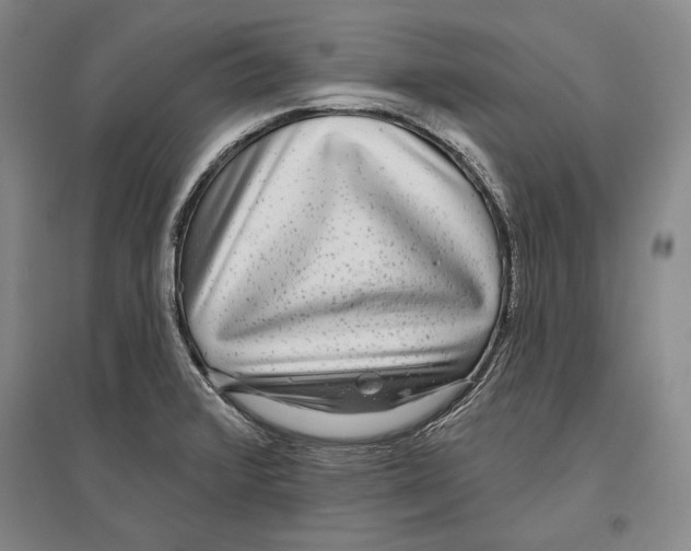 X0000096631376200803041055