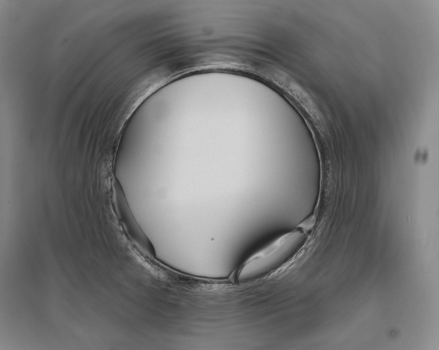X0000096631377200803041055
