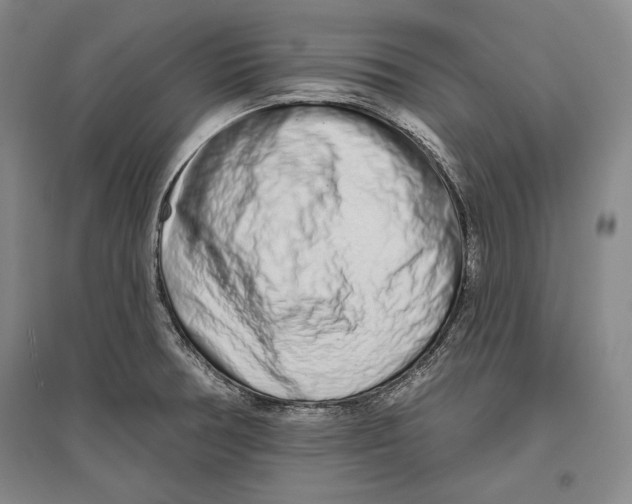 X0000096631378200803041055