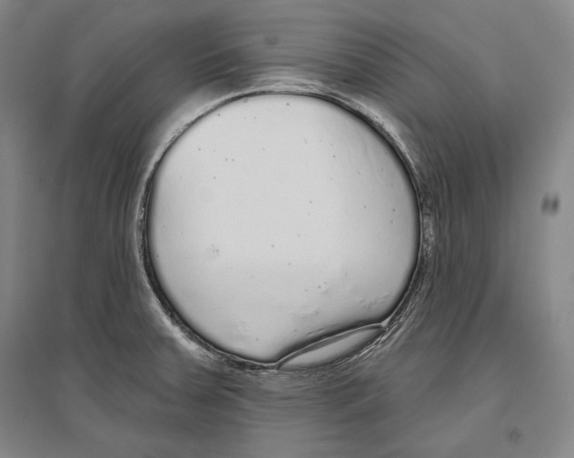 X0000096631379200803041055