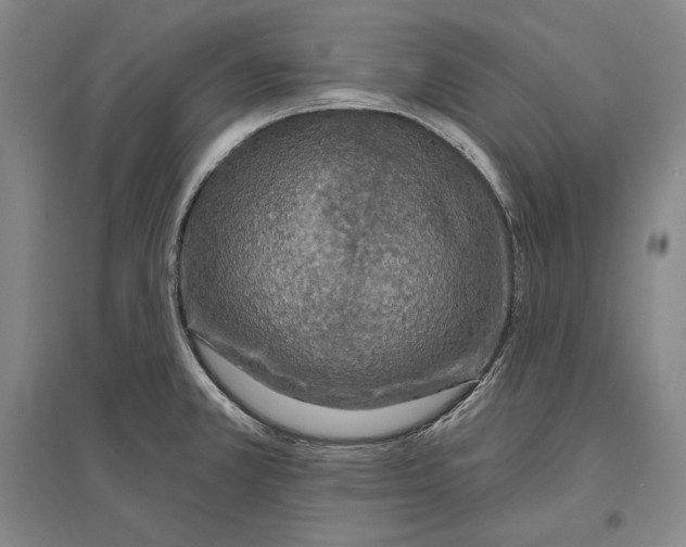 X0000096631381200803041055