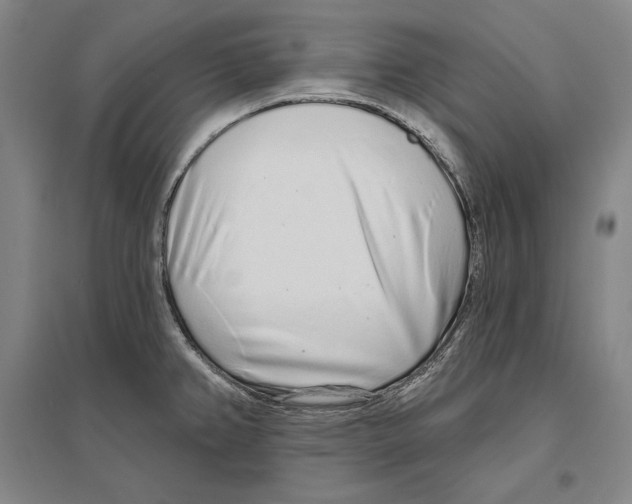 X0000096631382200803041055