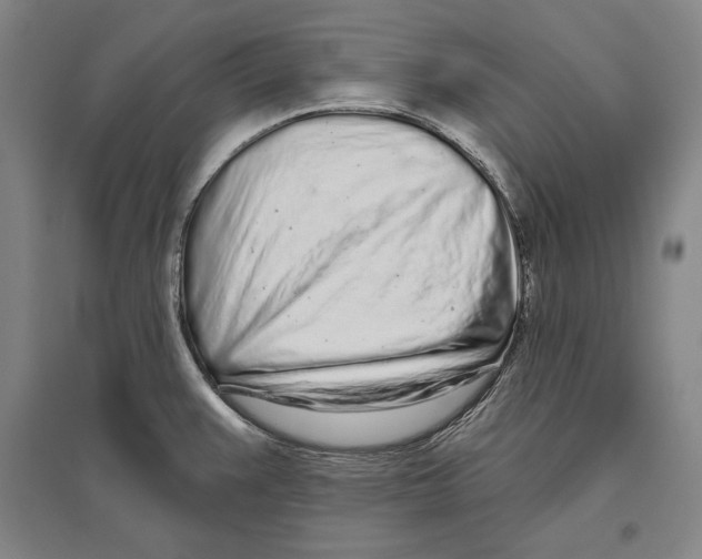X0000096631383200803041055
