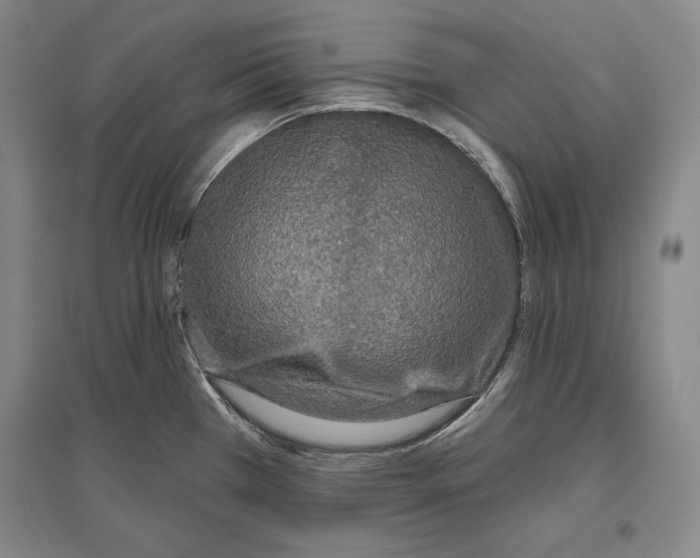 X0000096631385200803041055