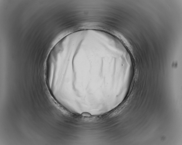 X0000096631386200803041055