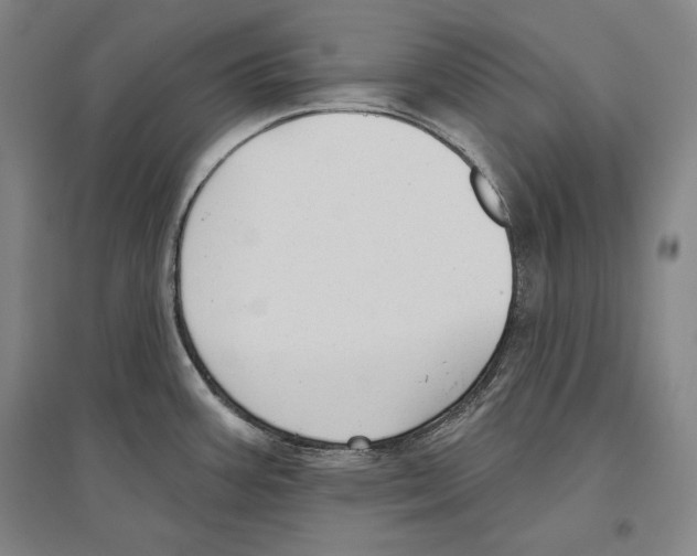 X0000096631387200803041055