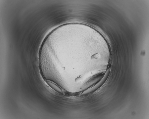 X0000096631388200803041055