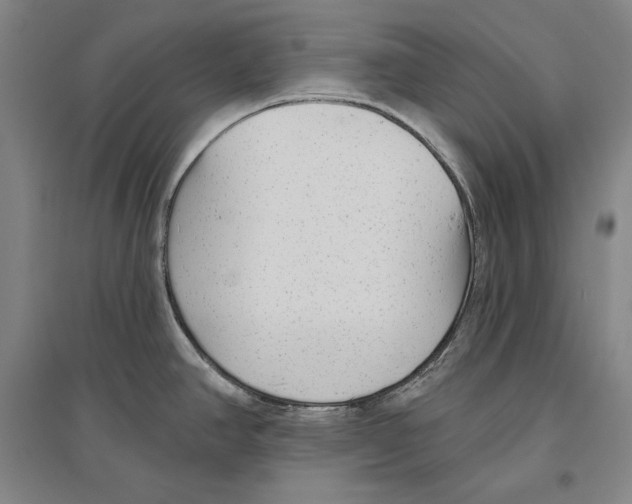 X0000096631390200803041054