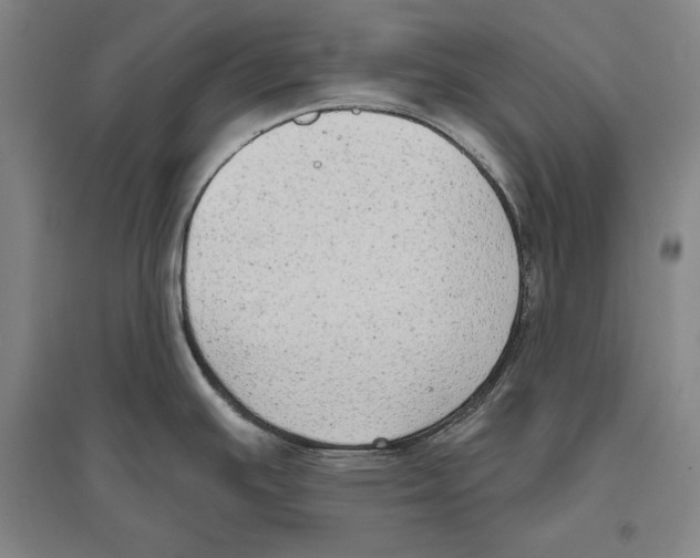 X0000096631391200803041054