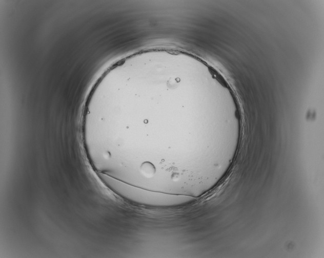 X0000096631392200803041054
