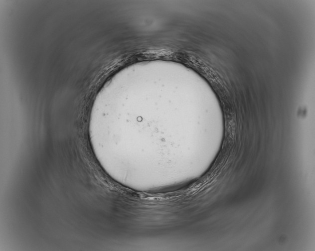 X0000096631393200803041054