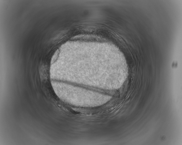 X0000096631394200803041054