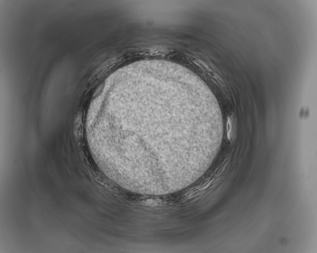 X0000096631395200803041054