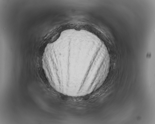 X0000096631397200803041054