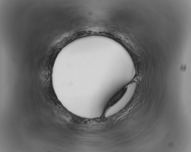 X0000096631398200803041054