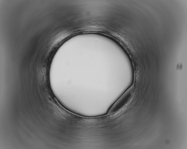 X0000096631402200803041054