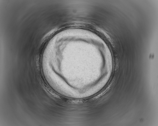 X0000096631403200803041054