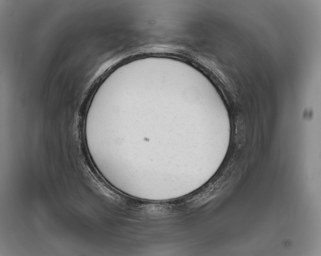 X0000096631404200803041054