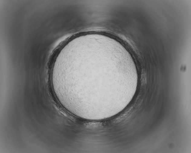 X0000096631406200803041054