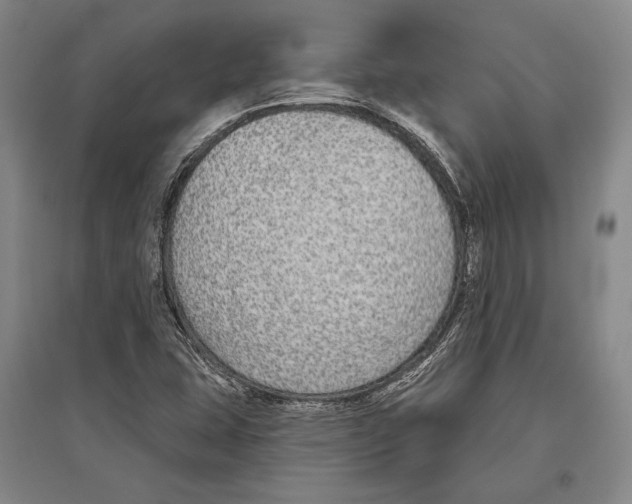 X0000096631407200803041054