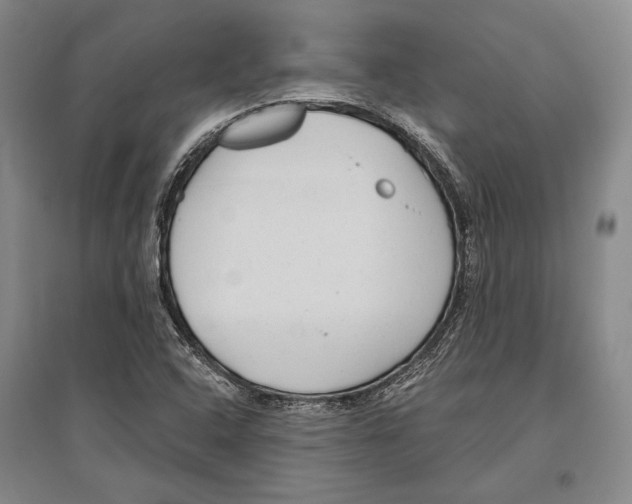X0000096631408200803041054