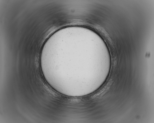 X0000096631409200803041054