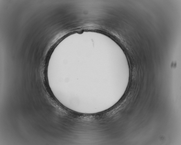 X0000096631410200803041054