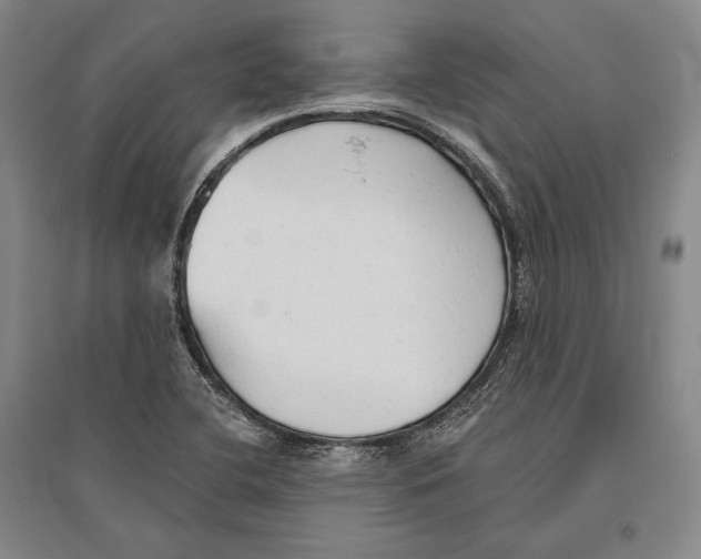 X0000096631412200803041054