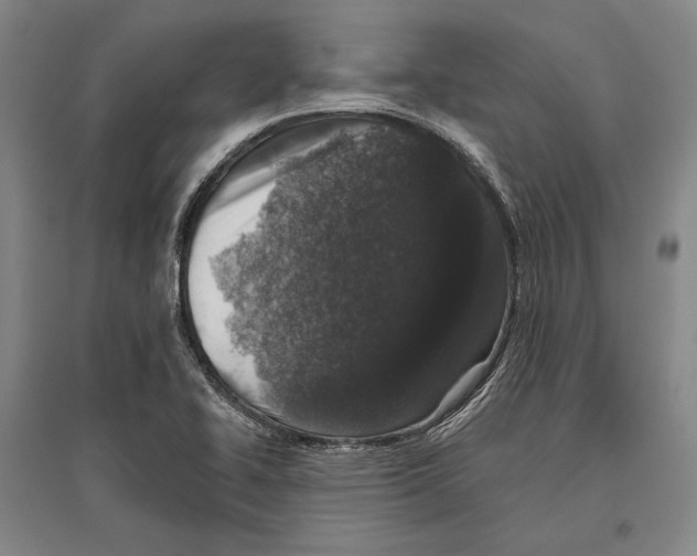 X0000096631414200803041054